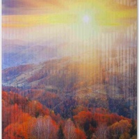 «Осенний лес» Обогреватель пленочный домашний очаг 500Вт - фото