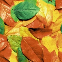 «Листья» обогреватель пленочный домашний очаг 500Вт - фото